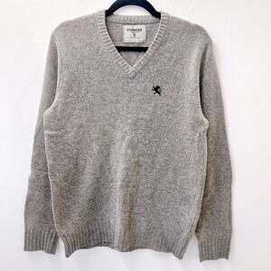 Express 100%‎ Lambs Wool Knit Sweater Men Small Gray Long Sleeve V-Neck Pullover
